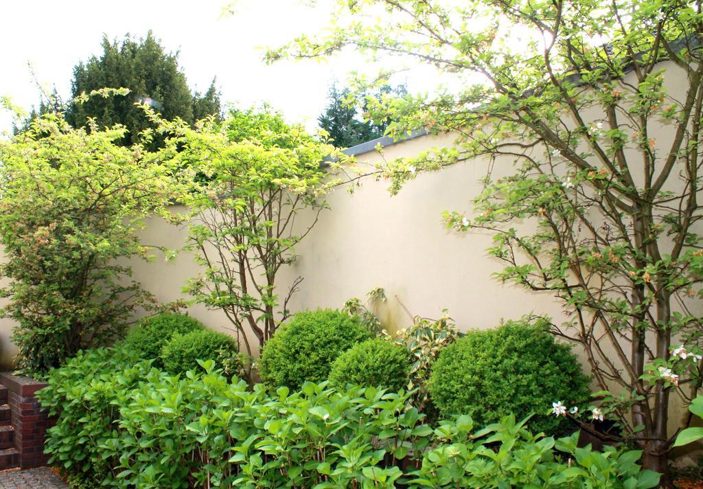 Venusberghotel Bonn Bagian luar foto